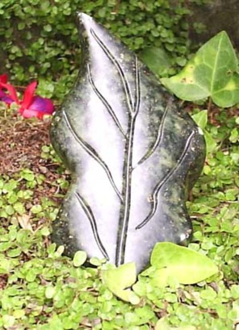 a leaf