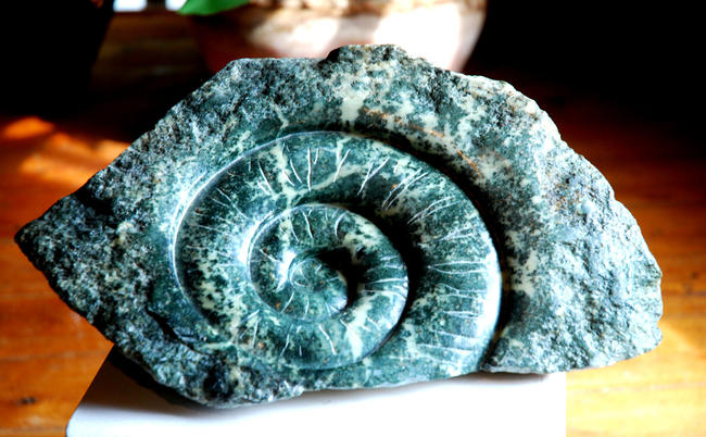 Ammonite