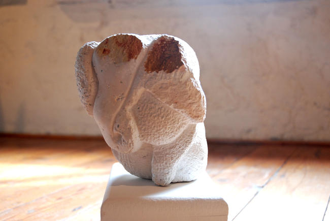 Abstract White elephant
