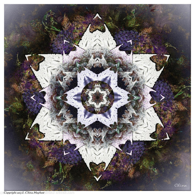 HEXAGRAM 1 (HYDRANGEA)