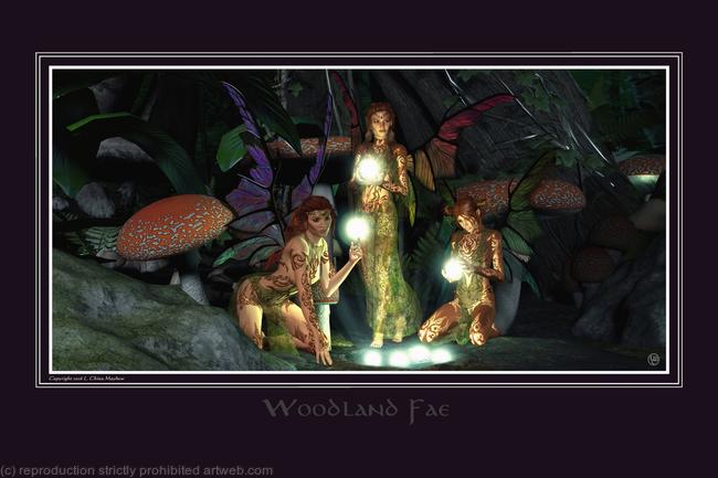 WOODLAND FAE