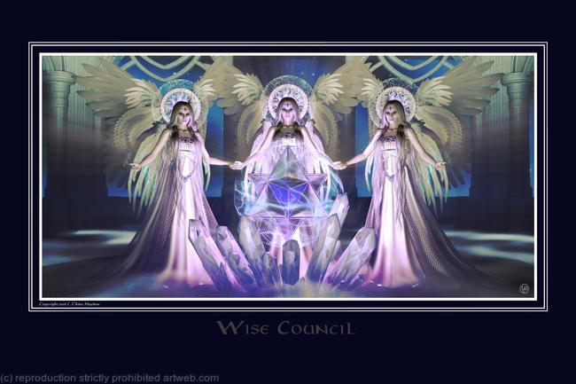 WISE COUNCIL
