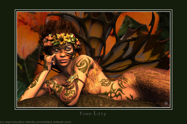 TIGER LILLY