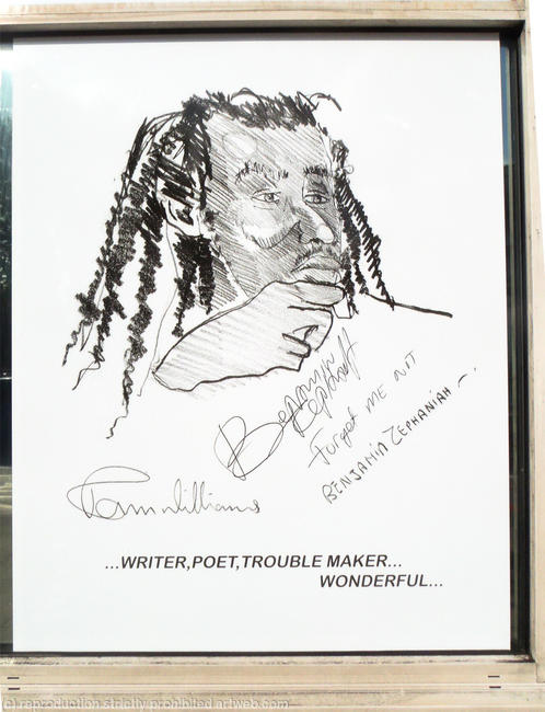 Current exhibition-Town Hall Parade, Brixton SW21 1RJ