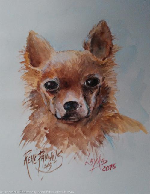 Layka