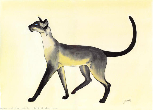 Strutting No.3491 Siamese Cat