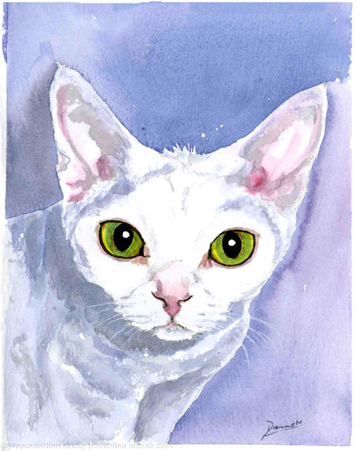 DEVON REX No.2953 Cat Painting