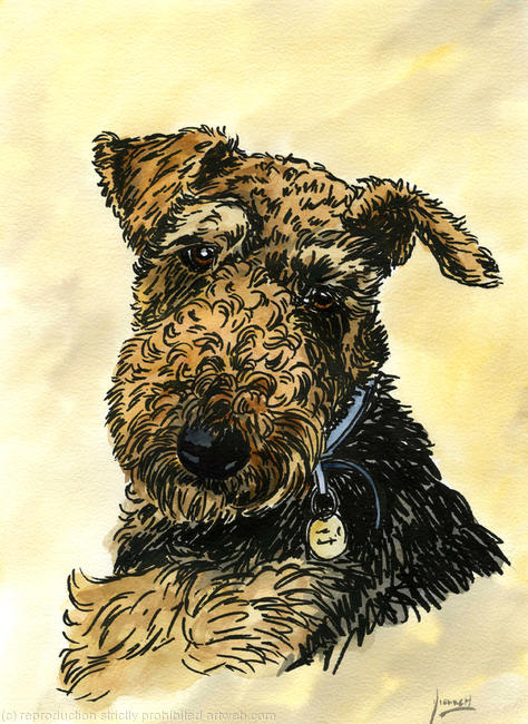 QUIET MOMENT No.5254 Terrier Dog Portrait