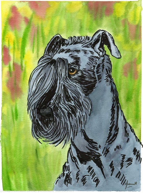 Schnauzer No.5266 Dog Portrait