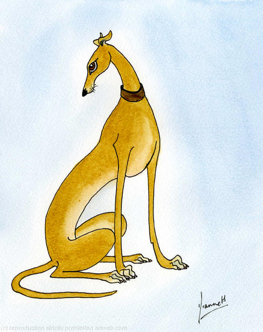 Hound Dog No.6258 Fawn Sighthound