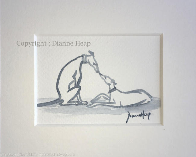 7259 ACEO GENTLE WORD Dianne Heap Greyhound Whippet Dogs