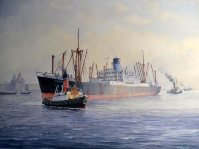 Dardanus in the Mersy