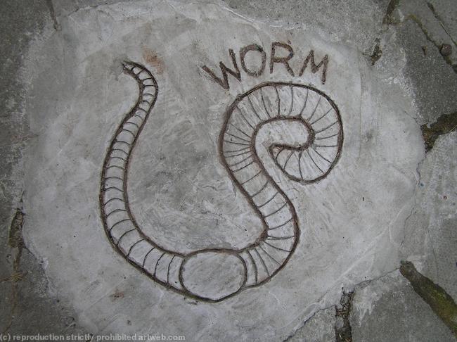 Cement drawing of worm in nursery school playground