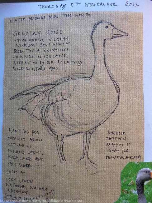 quick sketch of goose