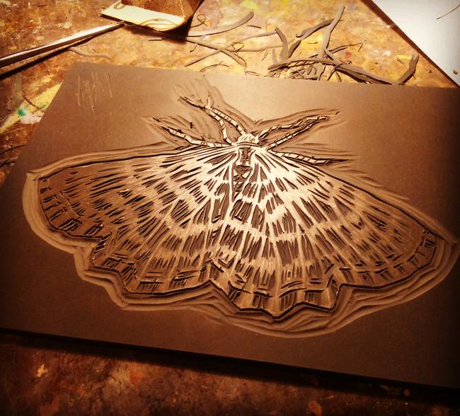 Moth Migration in progress