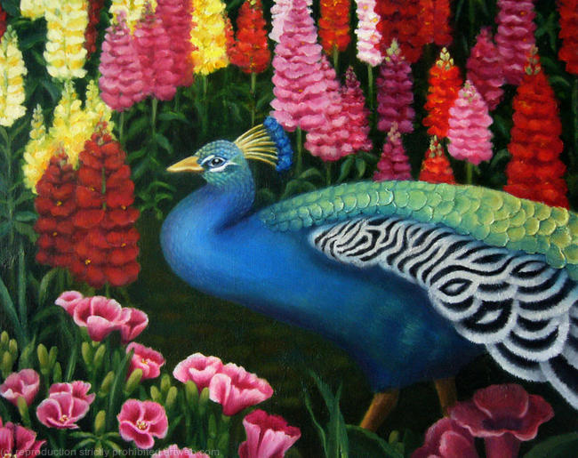 The Peacock
