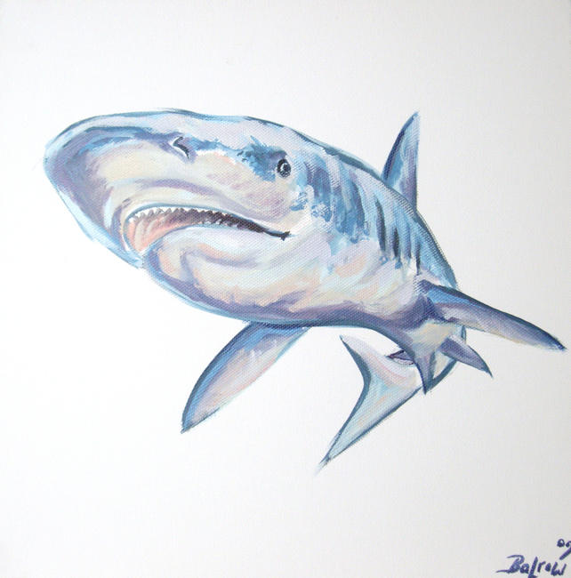 Small Originals Shark