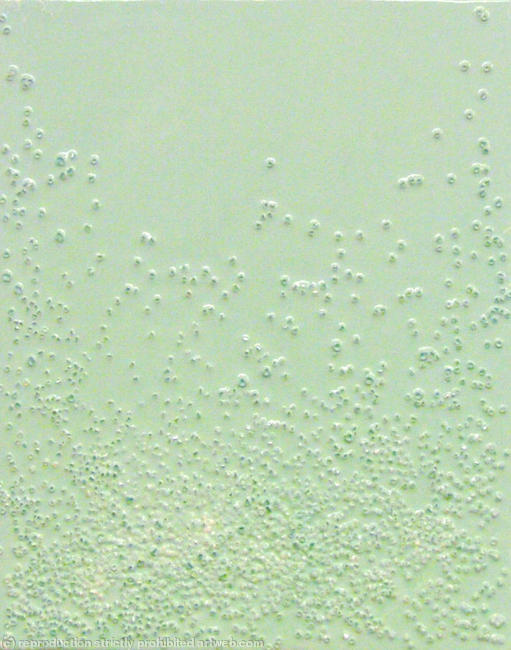 Gloss and Swarovski Crystal No 9
