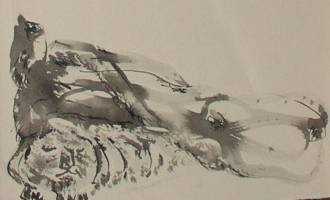 Figure and Tiger