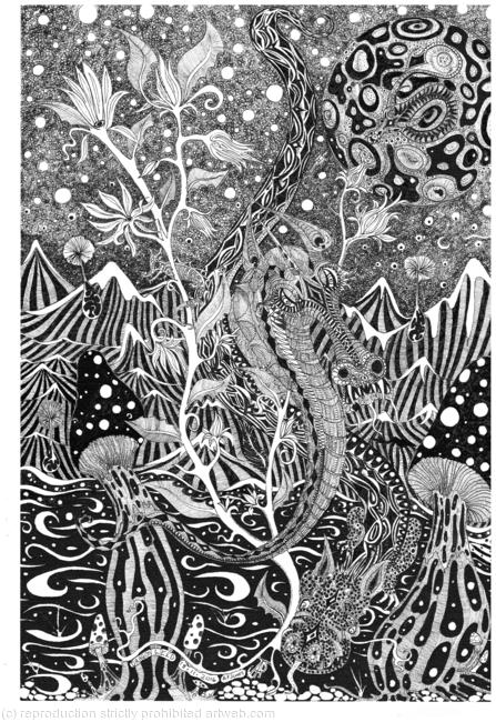 MAGIC DRAGON