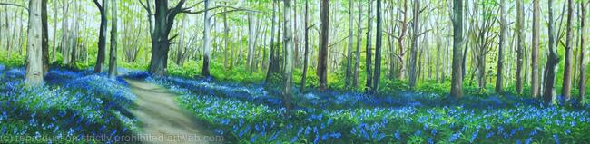 April Woods in Hertfordshire