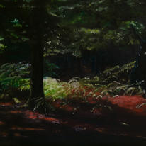 Dreaming in the New Forest