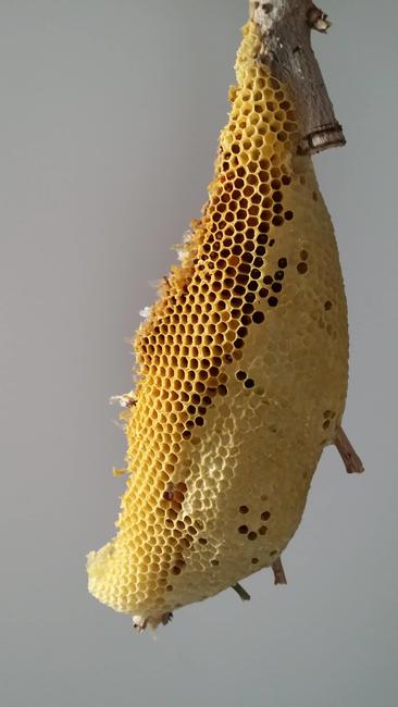 Honey Comb Weathering - Installation