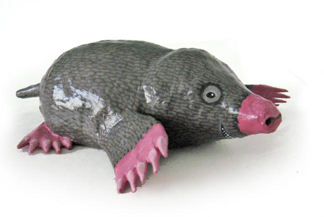 Mole