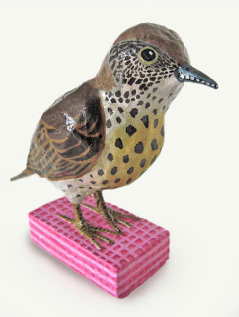 Thrush on Pink Wafer