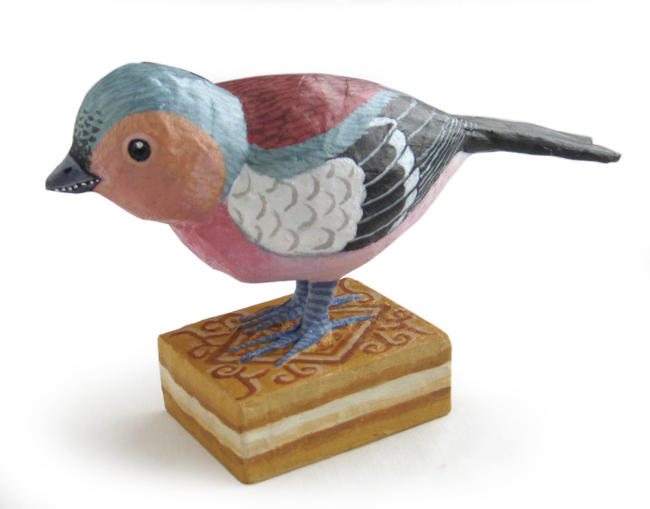 Chaffinch on Custard Cream