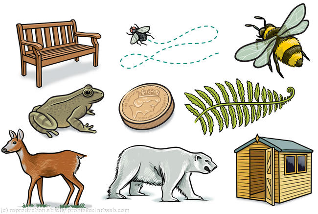 English book illustrations