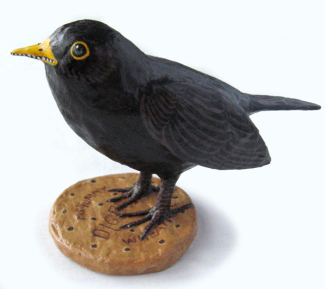 Blackbird on Digestive