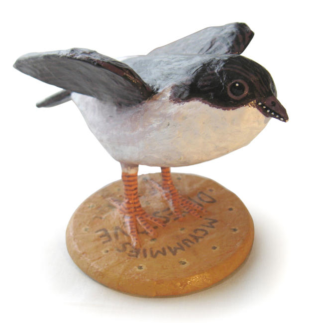 Housemartin on digestive