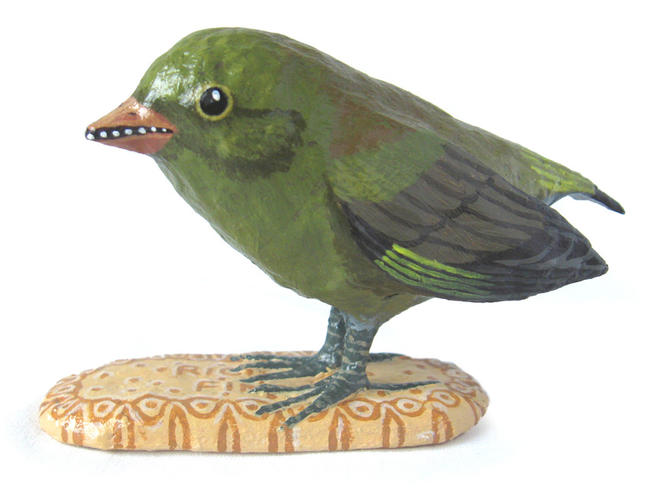 Green Finch on Rich Tea Finger