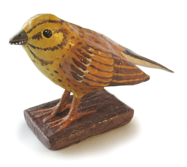 Yellowhammer on Belgian Biscuit