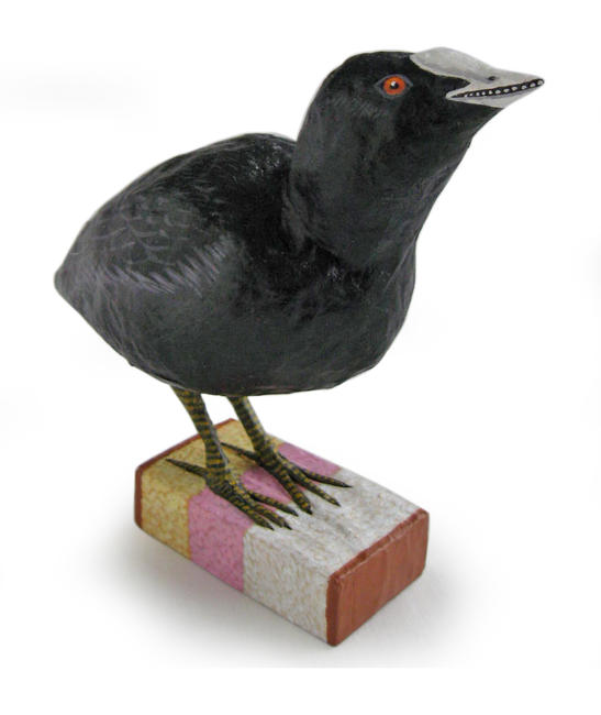 Coot on Angel Cake