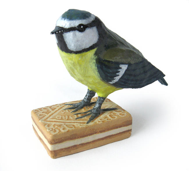 Blue Tit on Custard Cream