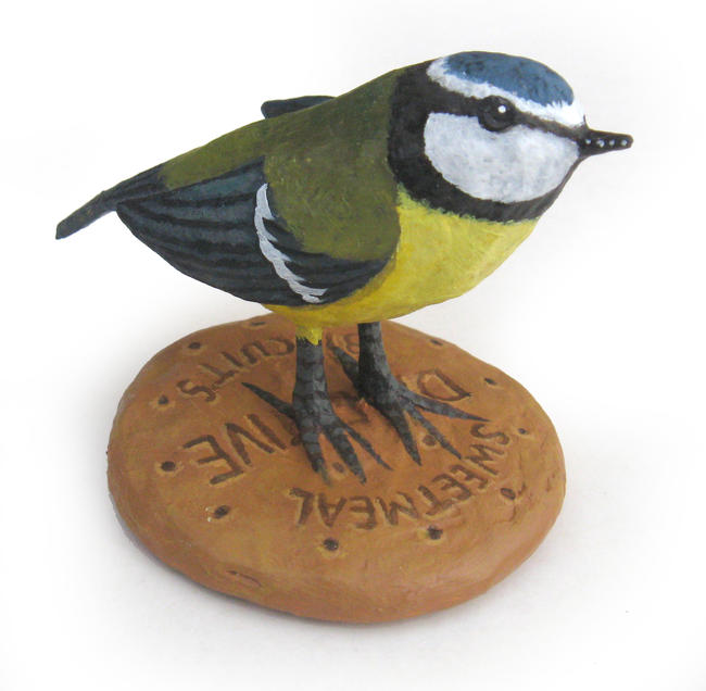 Blue Tit on Digestive