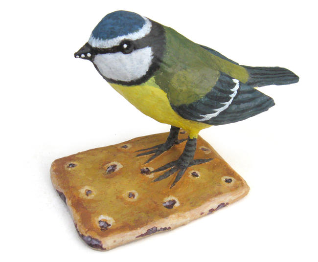 Blue Tit on Garibaldi