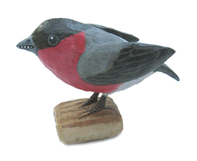 Bullfinch on Fig Roll