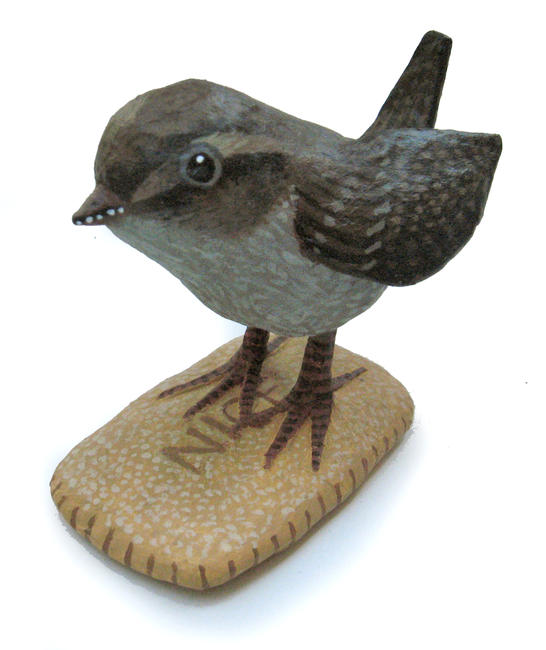 Wren on Nice