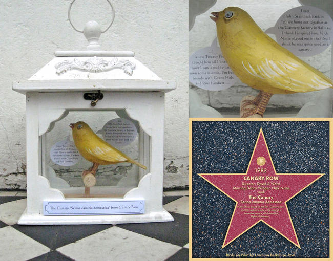 'Canary from Cannery Row'