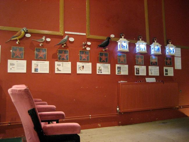 Birds on Film at the Cinema