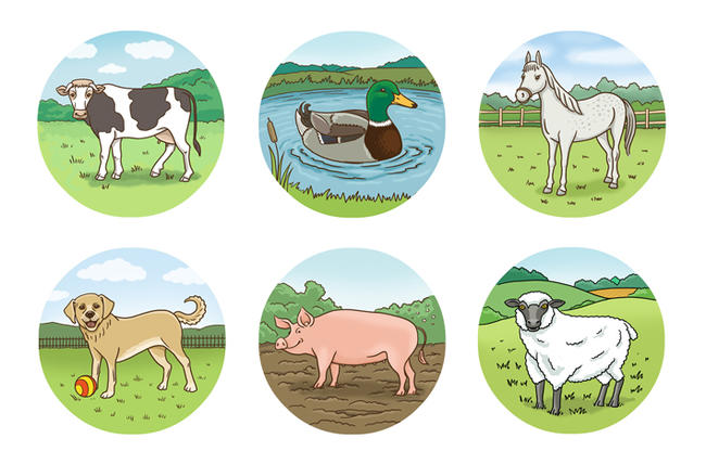 Farm animal illustrations