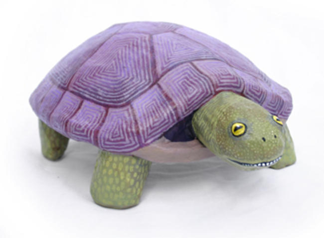 Tortoise