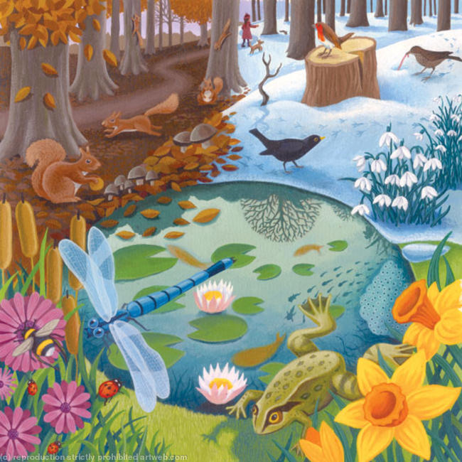 Pondlife Seasons