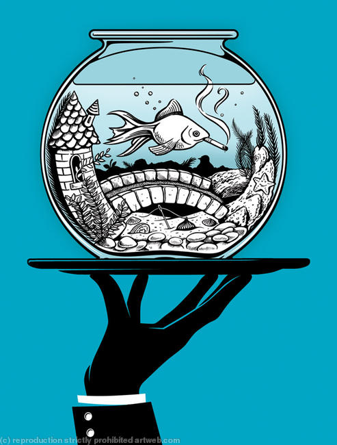 Through a Fishbowl