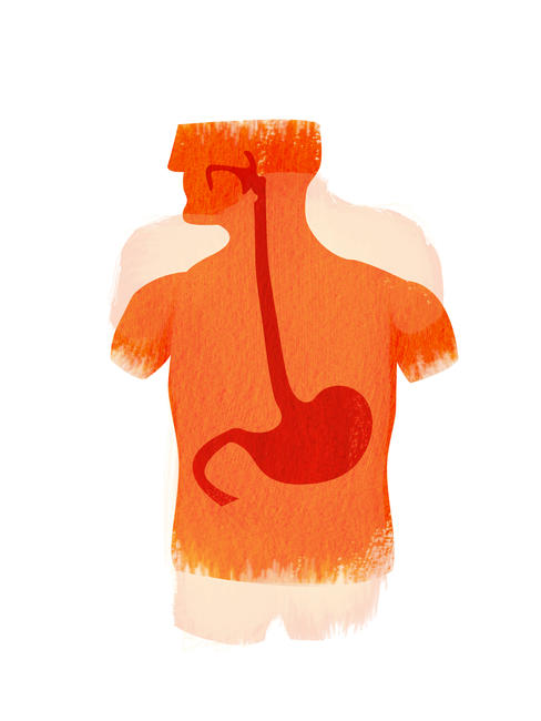 Stomach