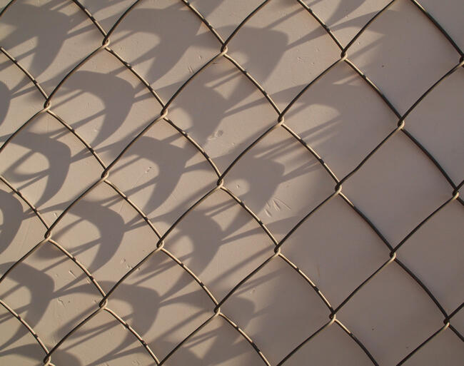 Estudio de las sombras