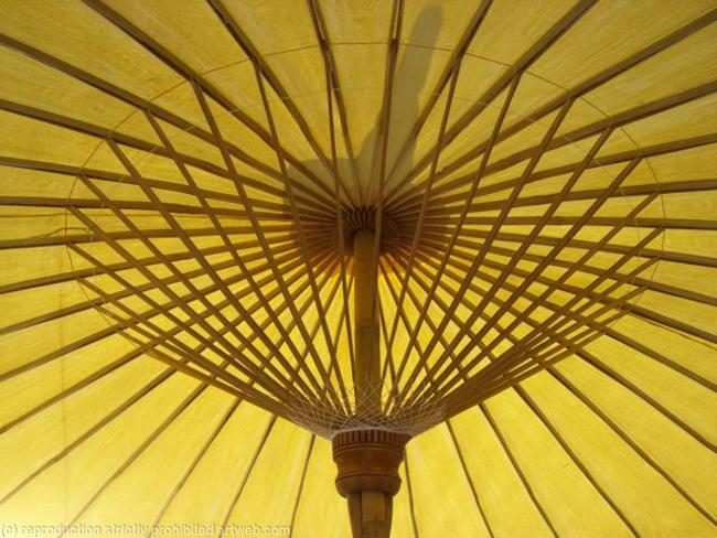 Thail umbrella